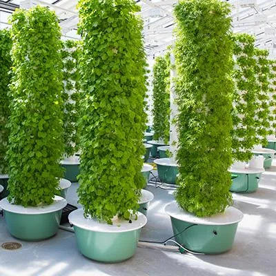 Hydroponic Tower - Sistem Kebun Menara Aeroponik Dengan Lampu