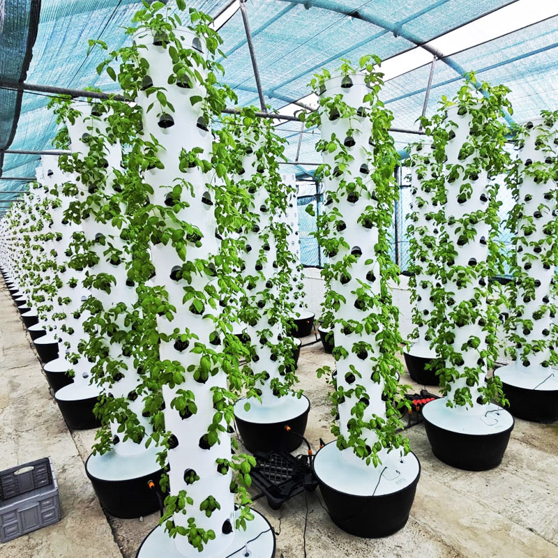 Hydroponic Tower - Sistem Menanam Hidroponik Vertikal Kecil Berkualitas