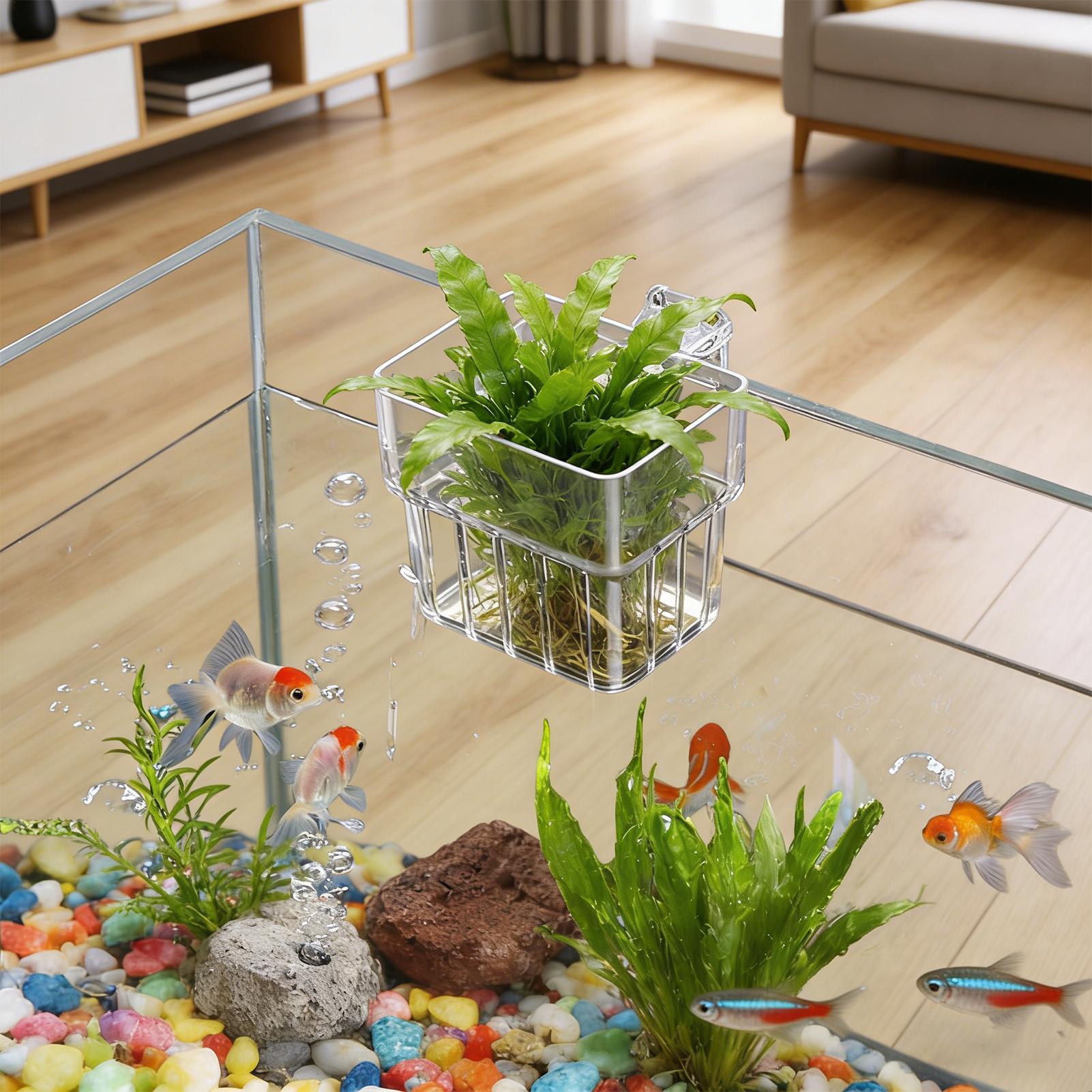 Hydroponic Grow Pod - Pot Tanaman Akuarium Transparan yang Dapat