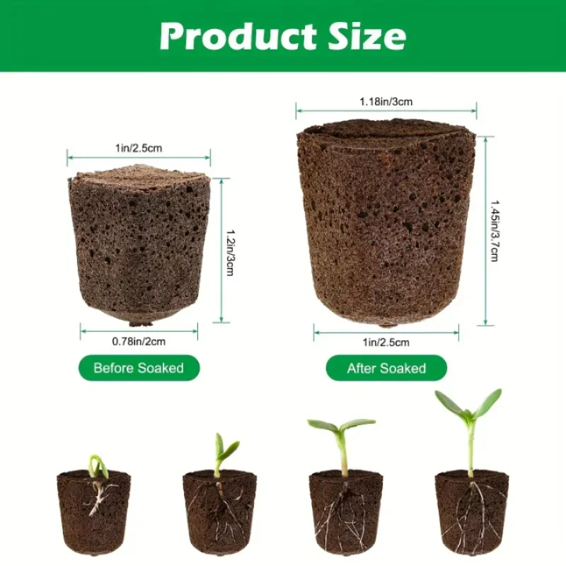 Indoor Garden Kit - Kit Spons Pemula Bibit untuk Sistem