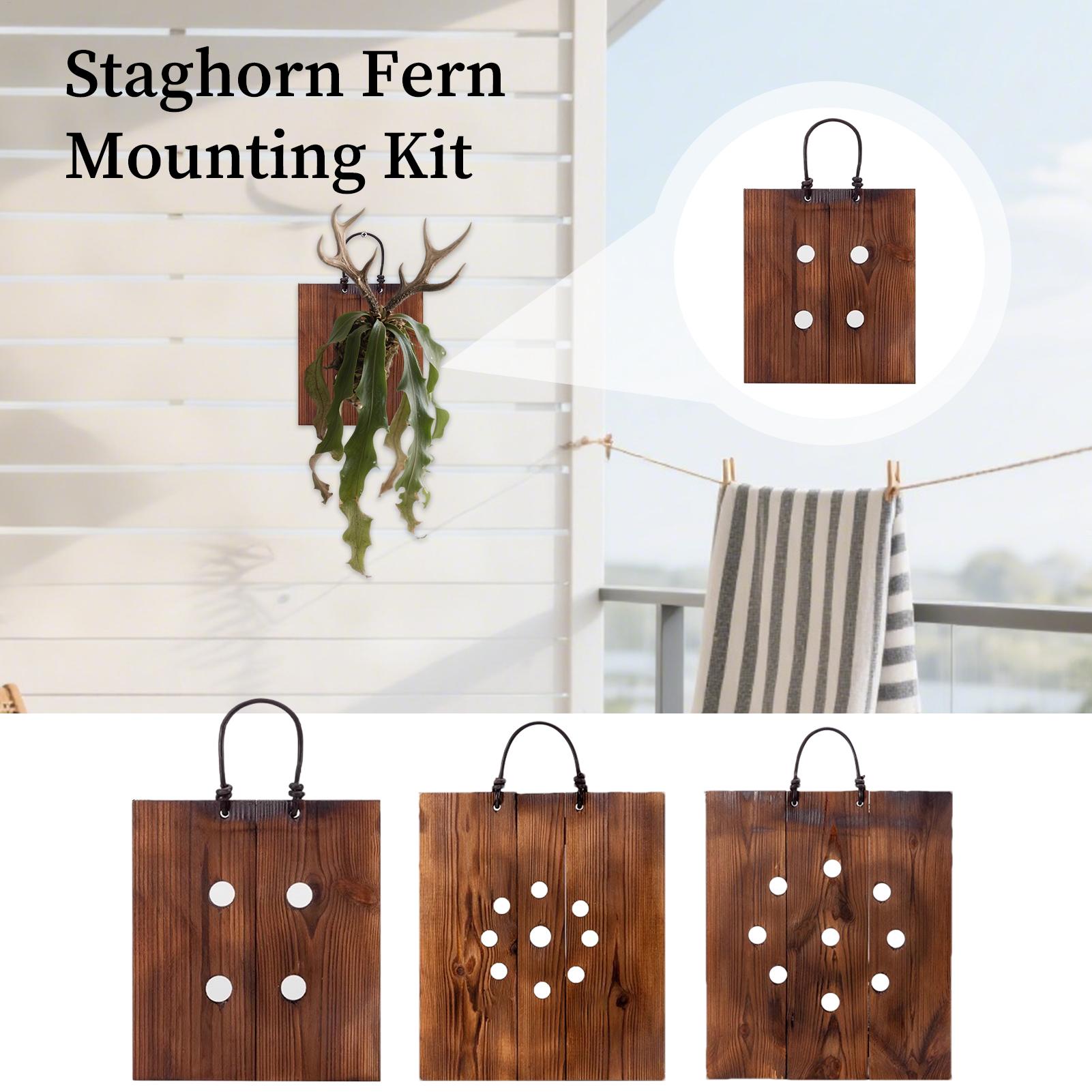 Indoor Garden Kit - Kit Penanam Tanaman Dinding Kayu Staghorn