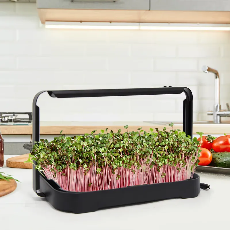 Smart Garden System - Baki Hidroponik untuk Tanaman Mikro Dalam