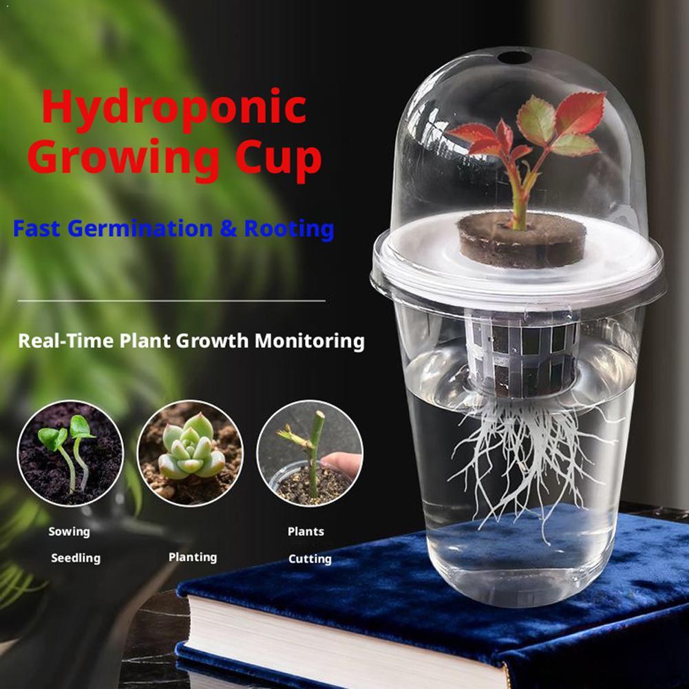 Cangkir Penanaman Hidroponik B - Hydroponic Tower ulasan dan harga