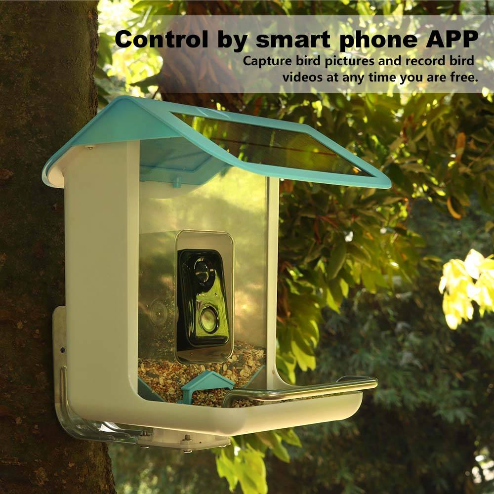 Kamera Wifi Satwa Liar Luar Ru - Garden Camera ulasan dan harga