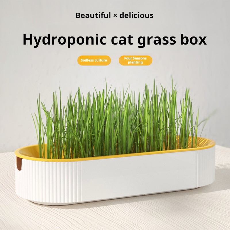 Kotak Hidroponik Rumput Kucing - Hydroponic Grow Pod ulasan dan harga