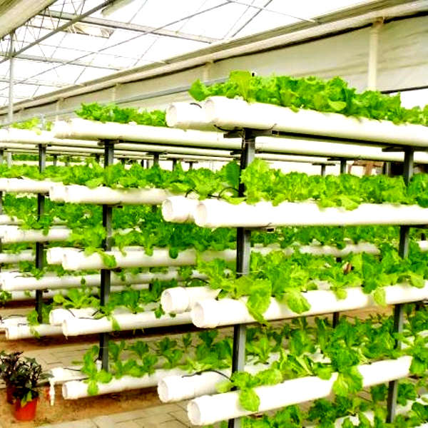 Sistem Menanam Hidroponik Vert - Hydroponic Tower ulasan dan harga