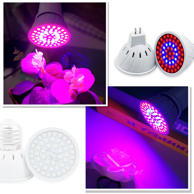 Lampu Phyto LED spektrum penuh - Plant Grow Light Full Spectrum ulasan dan harga