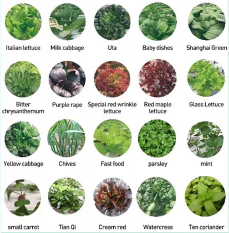 Sistem Pertumbuhan Tanaman Hid - Hydroponic Tower ulasan dan harga