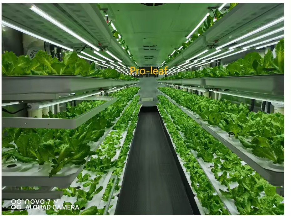 Peralatan Pertanian Rumah Kaca - Hydroponic Tower ulasan dan harga