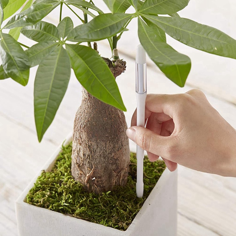 Aquameter, 5 Buah, Sensor Kele - Plant Sensor ulasan dan harga