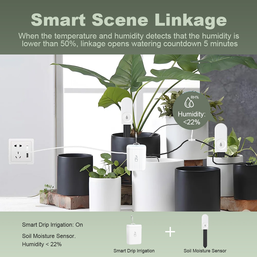 5pcs Alat Pengukur Kelembapan  - Garden Camera ulasan dan harga