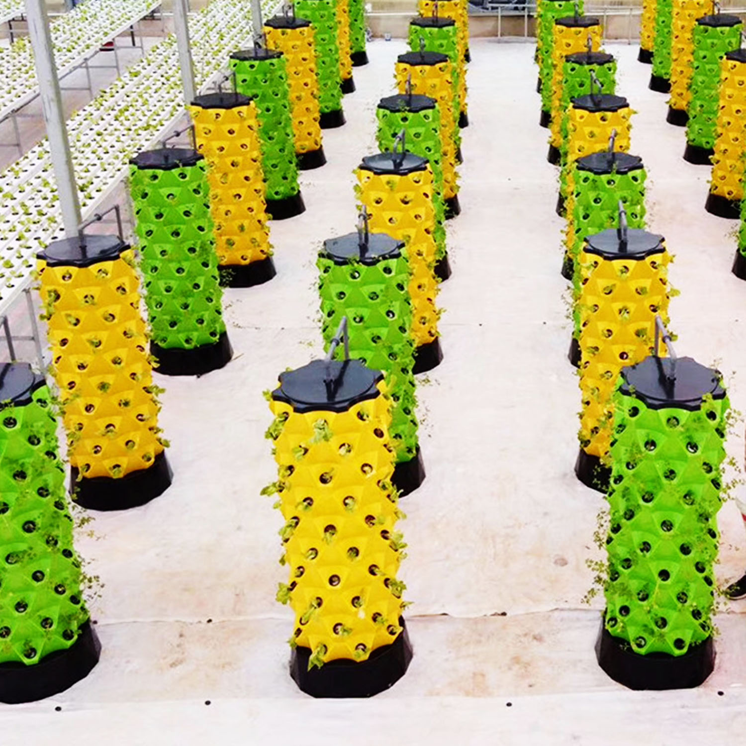Sistem Kebun Vertikal Hidropon - Hydroponic Tower ulasan dan harga