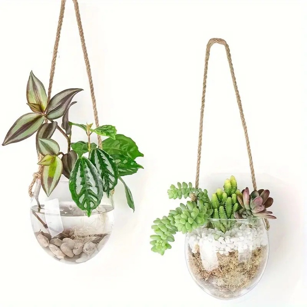 Vas Gantung Hidroponik Transpa - Hydroponic Grow Pod ulasan dan harga