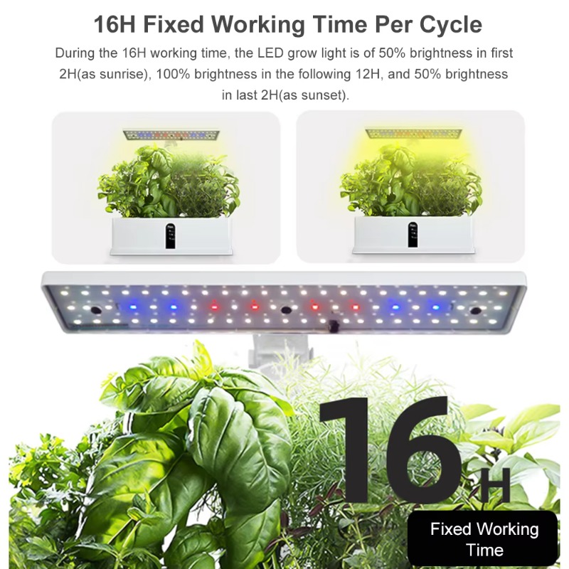 Sistem Penanaman Hidroponik Pi - Smart Garden System ulasan dan harga