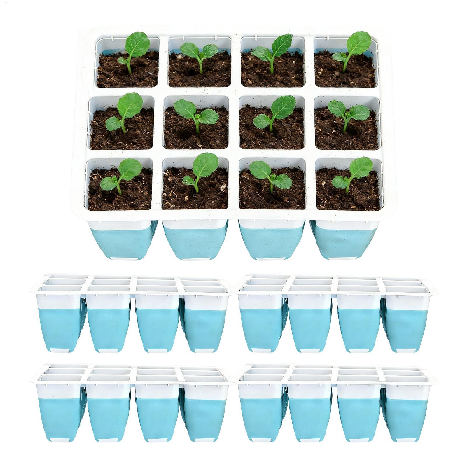 5 Paket Baki Semai Silikon 60  - Indoor Garden Kit ulasan dan harga