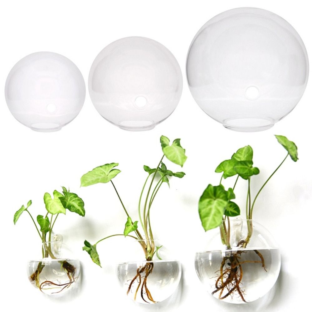 Vas kaca transparan gantung di - Hydroponic Grow Pod ulasan dan harga