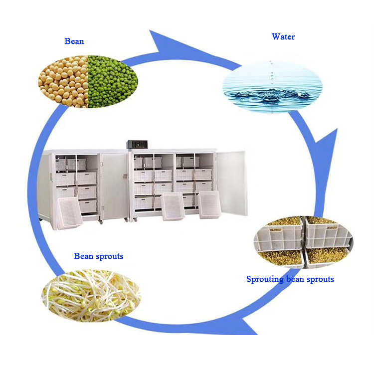 Mesin Budidaya Multi-Sprout Ca - Automatic Watering ulasan dan harga
