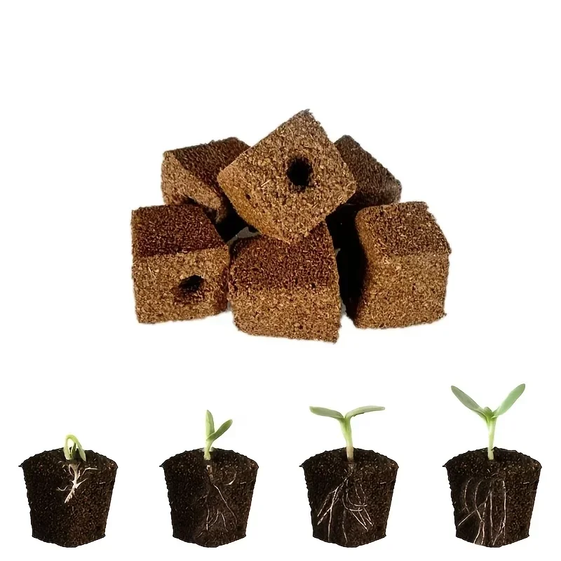 Kit Spons Pemula Bibit untuk S - Indoor Garden Kit ulasan dan harga