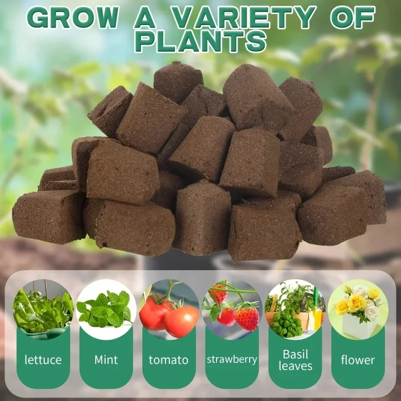 Kit Spons Pemula Bibit untuk S - Indoor Garden Kit ulasan dan harga
