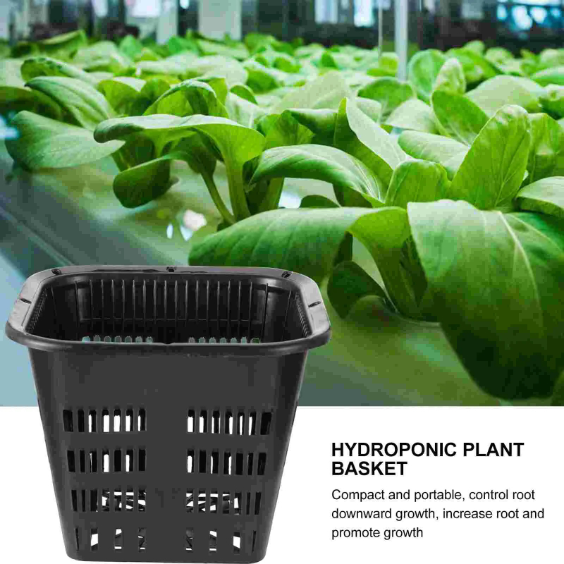 6 Buah Keranjang Tanam Hidropo - Hydroponic Grow Pod ulasan dan harga