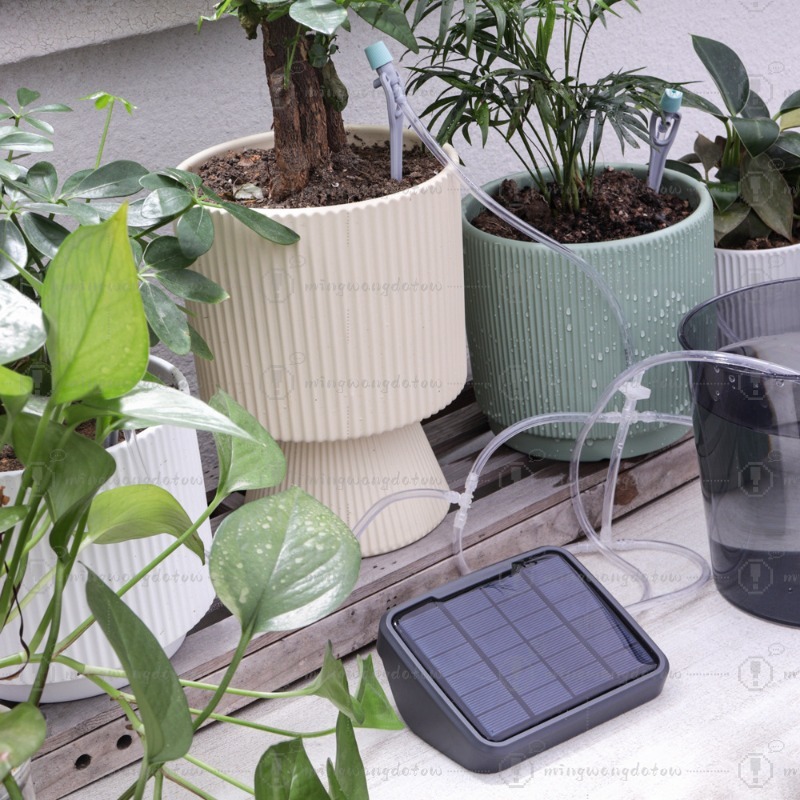 Perangkat Penyiraman Otomatis  - Automatic Watering ulasan dan harga