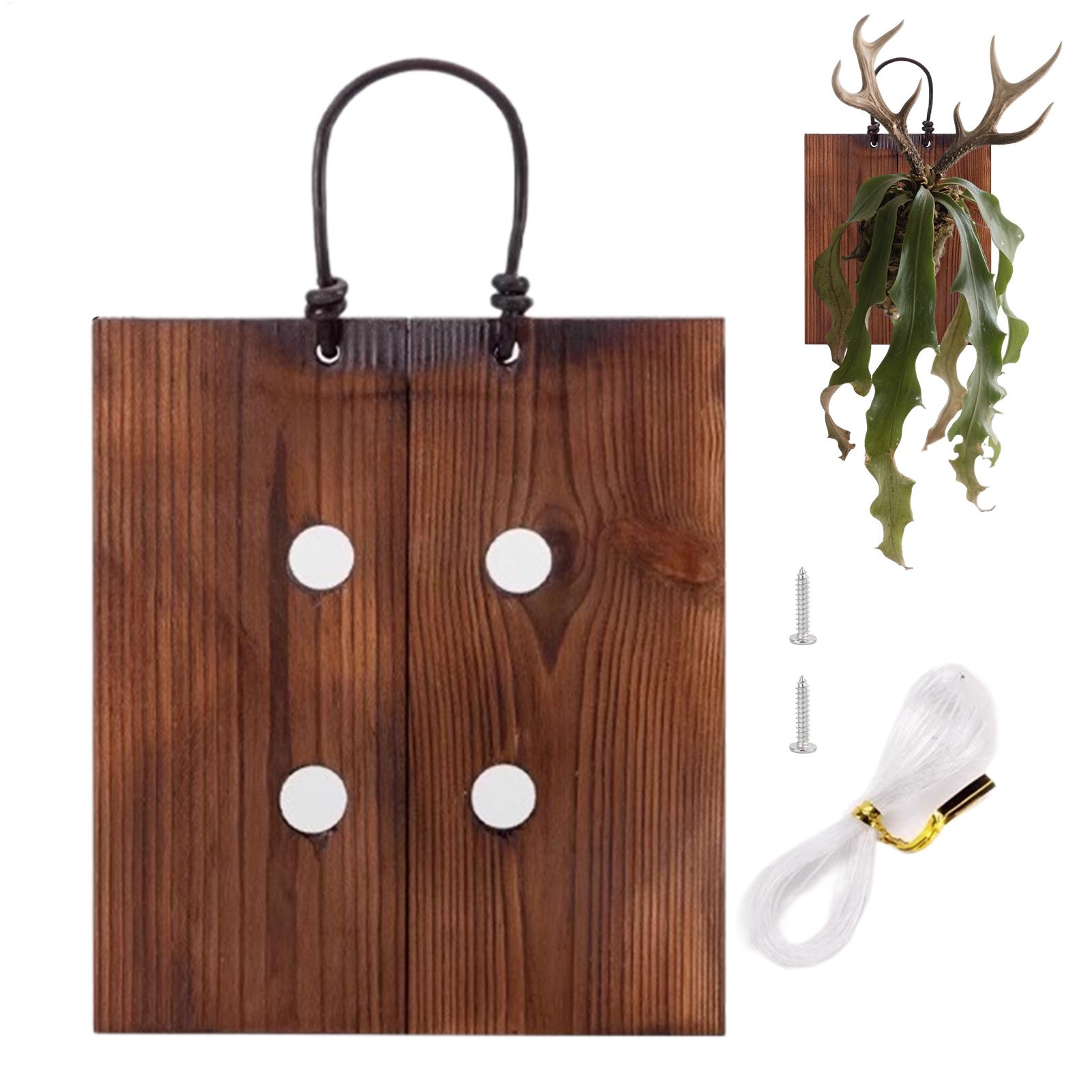 Kit Penanam Tanaman Dinding Ka - Indoor Garden Kit ulasan dan harga