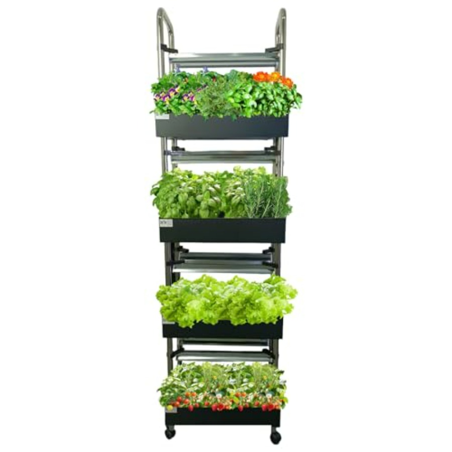Sistem hidroponik dalam ruanga - Smart Garden System ulasan dan harga