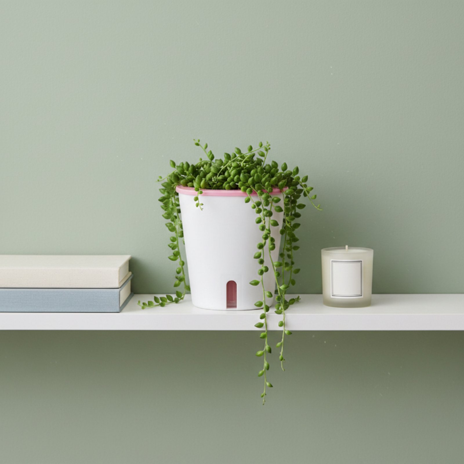 Pot Penyiram Otomatis Ukuran B - Self Watering Planter ulasan dan harga