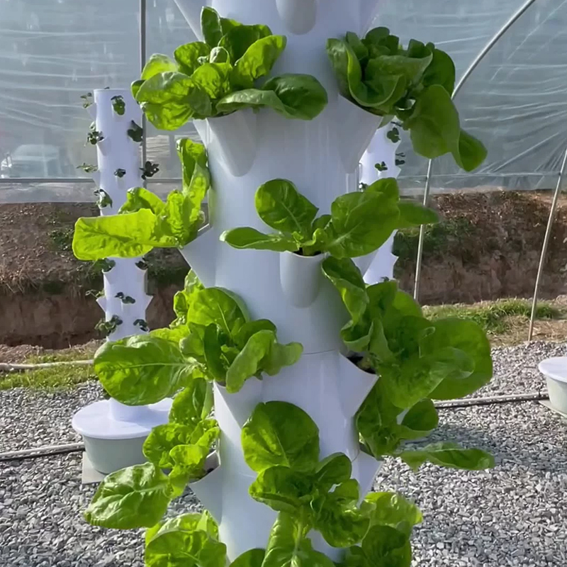Dengan Led Lampu Tumbuh Pohon  - Hydroponic Tower ulasan dan harga