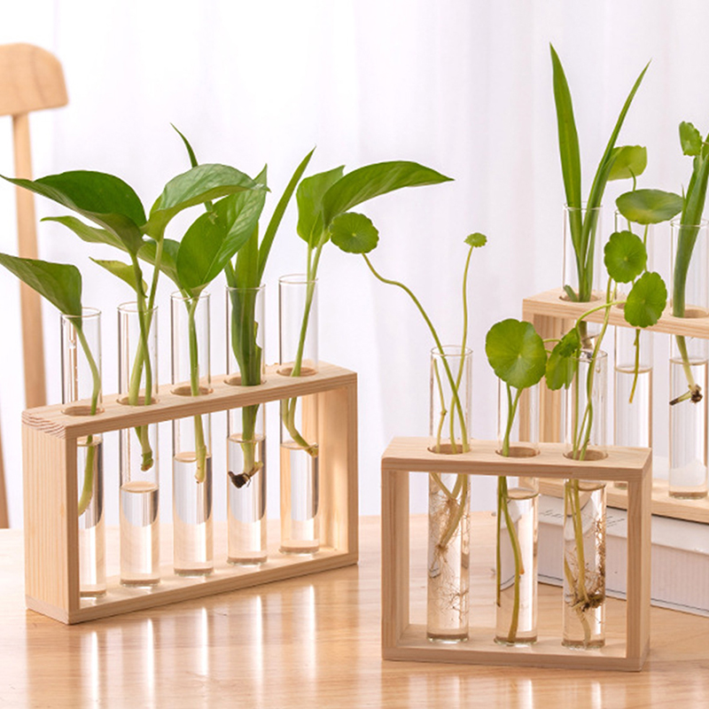 Wadah tanaman hidroponik denga - Hydroponic Grow Pod ulasan dan harga