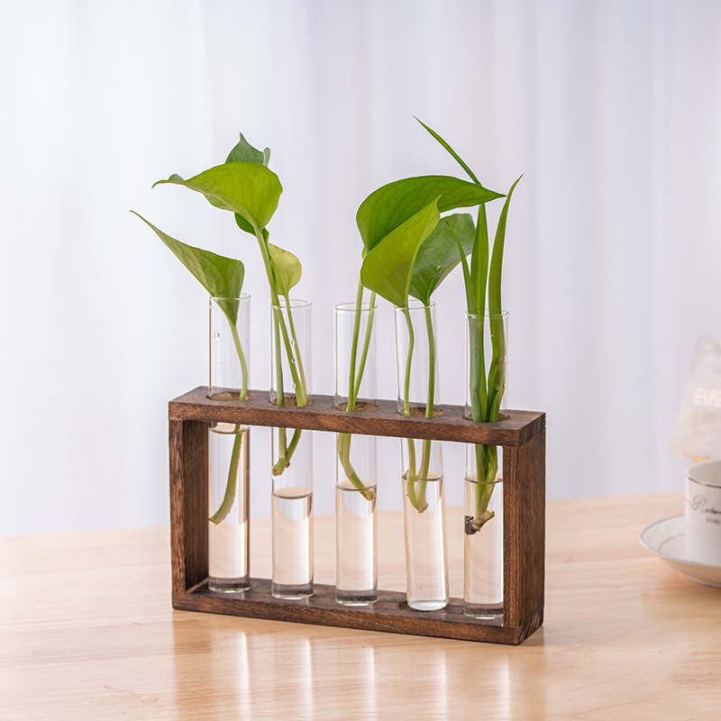 Wadah tanaman hidroponik denga - Hydroponic Grow Pod ulasan dan harga